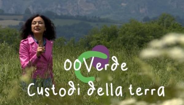 copertina 00Verde 2024