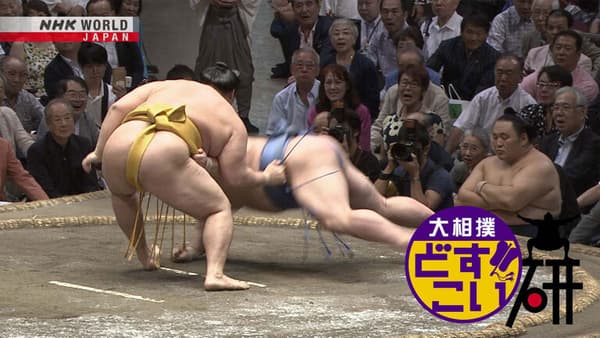 copertina DOSUKOI Sumo Salon