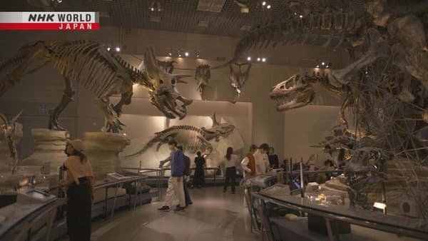 copertina National Museum of Nature and...