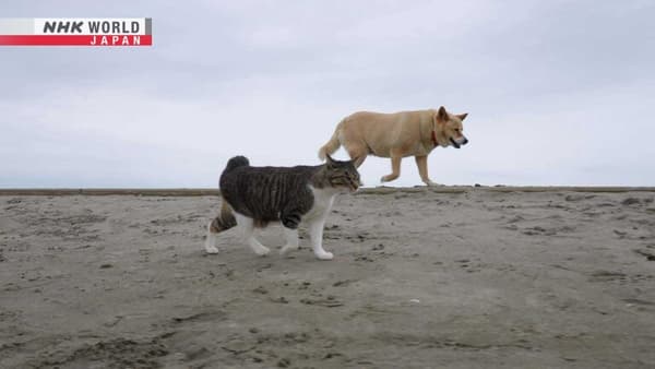 copertina Time-Lapse Japan Izumo