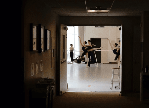 copertina Becoming a swan - Diventare un cigno