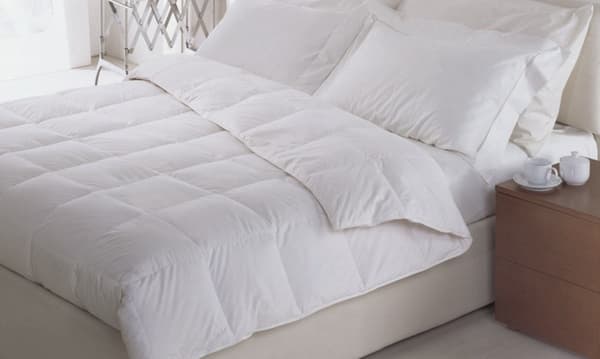 copertina Ama la tua casa