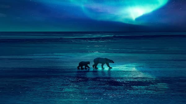 copertina Incanto di ghiaccio - Oceani di ghiaccio