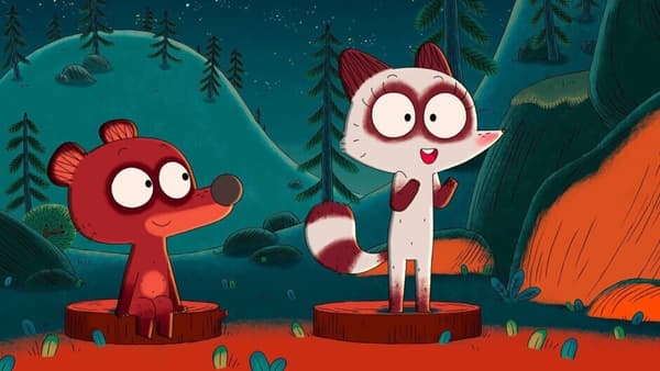 copertina L'orsetto Pompon - La costellazione del procione