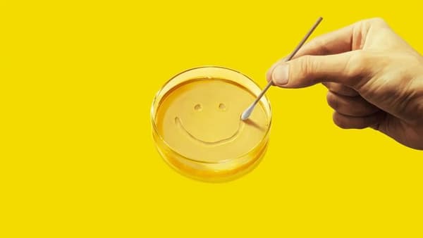 copertina Mini Smiley - Il mondo Mini Smiley