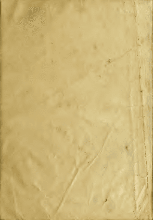 copertina Simone Super coniglio - A caccia di super lumache