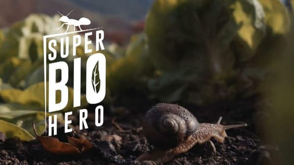 copertina Super Bio Hero - Super Bio Hero: scutigera e ragno