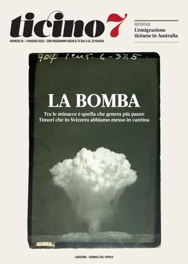 copertina Il grande disgelo - La primavera più dura