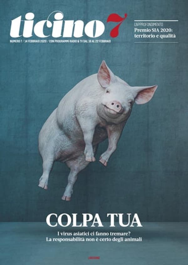 copertina Incanto di ghiaccio - Mondi di ghiaccio