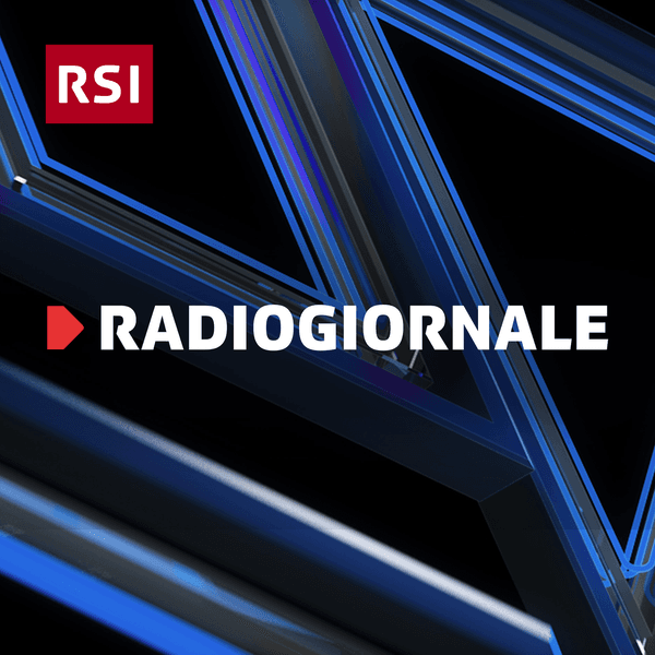 Radiogiornale e lanci sport copertina del programma Radiogiornale e lanci sport