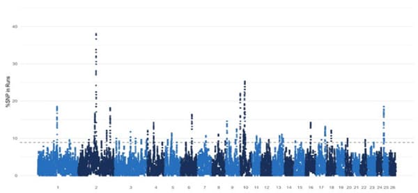 copertina Inter-Kairat YL 25/26