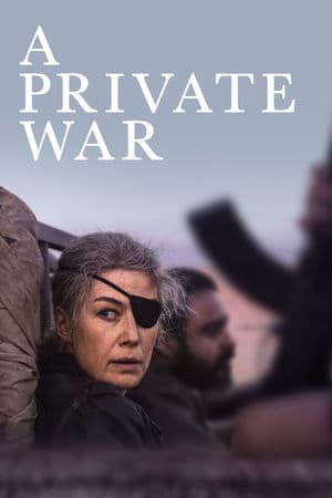 copertina del programma A Private War