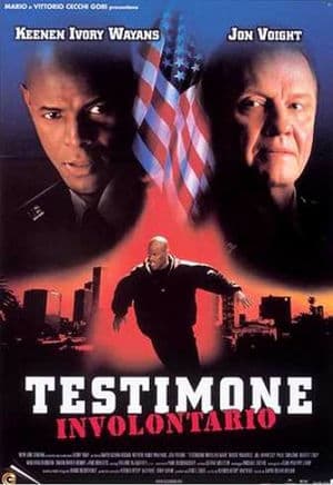 copertina del programma Testimone involontario