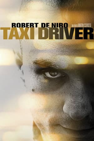 copertina del programma Taxi Driver