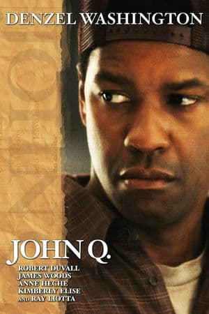 copertina del programma John Q