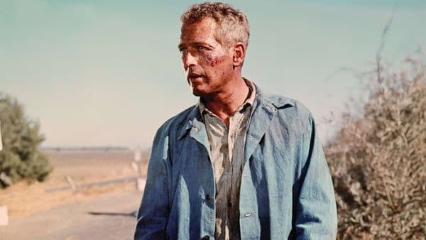 copertina Nick mano fredda