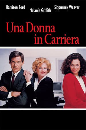 copertina del programma Una donna in carriera