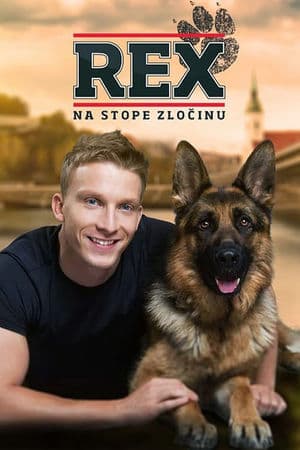 copertina del programma Rex