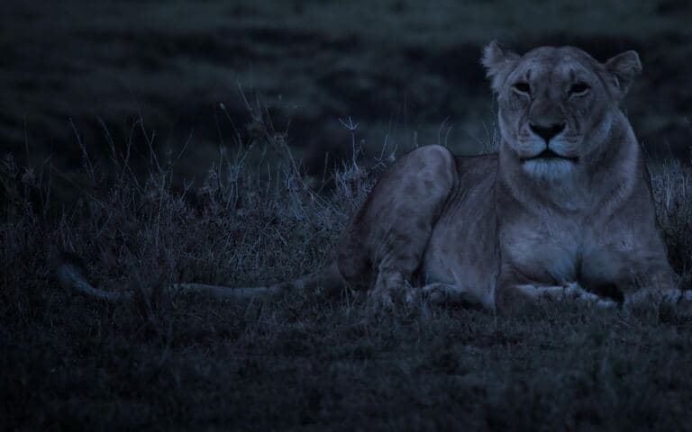 Vita da preda copertina del programma Vita da preda