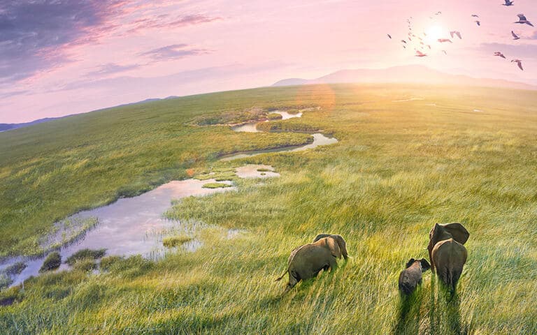 copertina Planet Earth III - Le meraviglie della natura