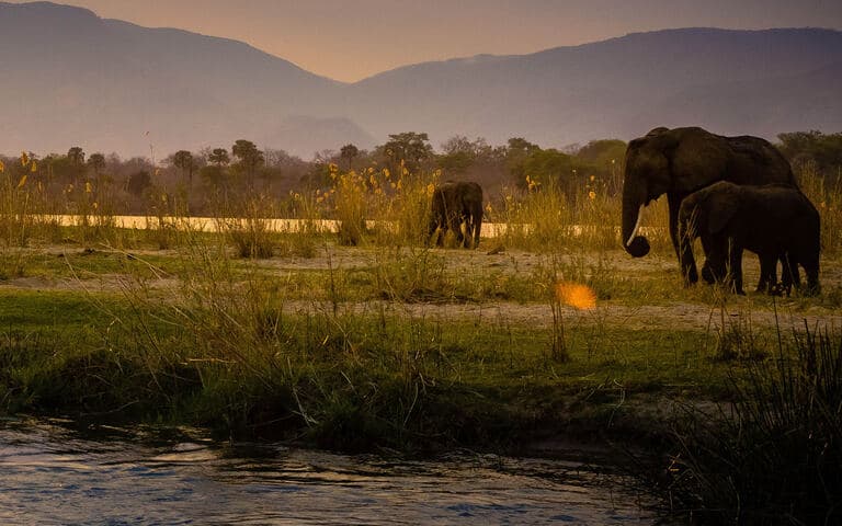 copertina I grandi fiumi della terra