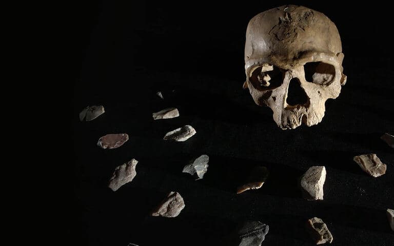 Homo sapiens - La riscoperta delle origini copertina del programma Homo sapiens - La riscoperta delle origini