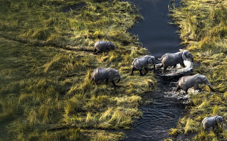 copertina Il mondo visto dal cielo
