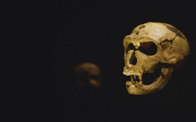 A tavola con l'uomo di Neanderthal copertina del programma A tavola con l'uomo di Neanderthal