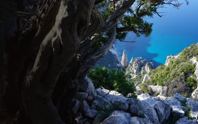 copertina Sardegna: la perla del mediterraneo