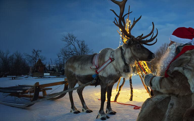 copertina Simboli naturali del natale