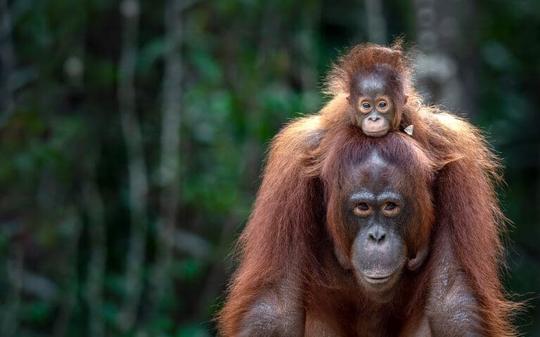 La natura insegna: le ciclicita' copertina del programma La natura insegna: le ciclicita'