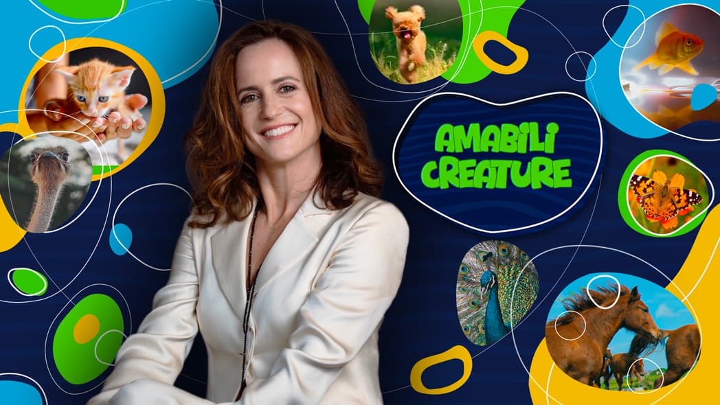 Amabili creature copertina del programma Amabili creature